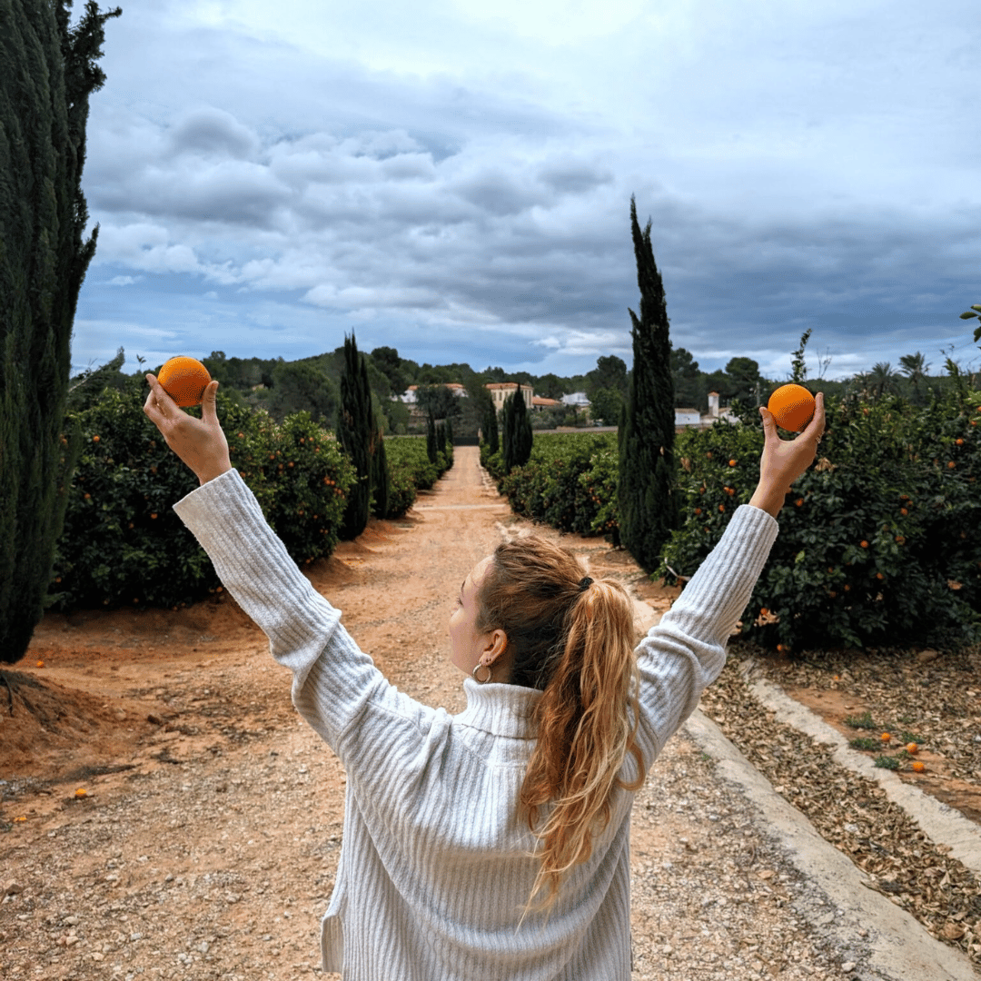 Visita y cata Huerto de Naranjos 🍊🏰