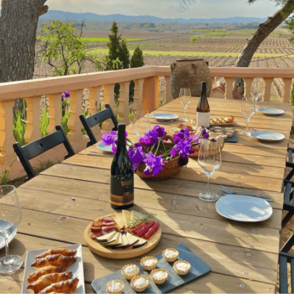 Visita y cata de vinos con embutidos 🍇