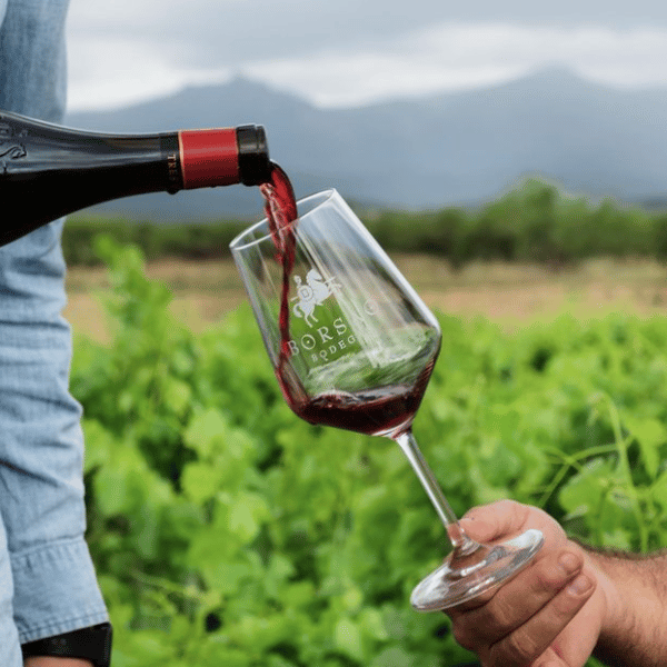 Visita y cata de vinos 🍷